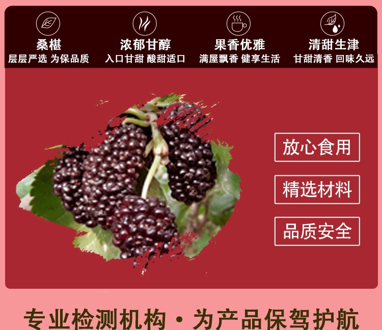 新~桑椹钙固体饮料详情页_04.jpg